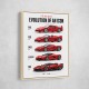 Ferrari Evolution Sports Cars Wall Art