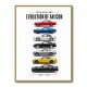 Ford Mustang Heritage Evolution Of An Icon