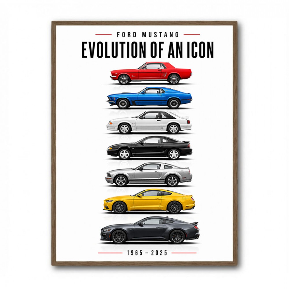 Ford Mustang Heritage Evolution Of An Icon
