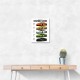 Lamborghini Aventador Evolution Cars Wall Art