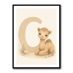 C For Camel Animal Wall Art