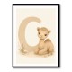 C For Camel Animal Wall Art