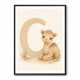 C For Camel Animal Wall Art