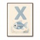 X For X Ray Fish Wall Art
