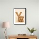 Y For Yak Illustration Art Print