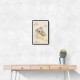 Koala Sleeping Star Nursery Wall Art Print