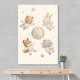 Space Friends Nursery Wall Art Print
