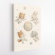Space Friends Nursery Wall Art Print