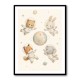 Space Friends Nursery Wall Art Print