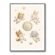 Space Friends Nursery Wall Art Print