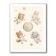 Space Friends Nursery Wall Art Print