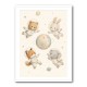 Space Friends Nursery Wall Art Print