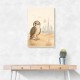 Falcon Backpack Adventure Childrens Wall Art Print
