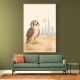 Falcon Backpack Adventure Childrens Wall Art Print