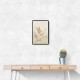 Tennis Rabbit Childrens Wall Art Print