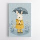 Rabbit in Raincoat