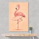 Flamingo Ballet Dancer