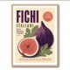 Fig Fruit Vintage Art Print