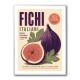 Fig Fruit Vintage Art Print