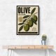 Italian Olives Vintage Poster Wall Art