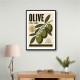 Italian Olives Vintage Poster Wall Art