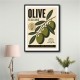 Italian Olives Vintage Poster Wall Art