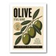 Italian Olives Vintage Poster Wall Art