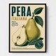 Italian Pear Vintage Fruit Poster Art Print