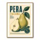 Italian Pear Vintage Fruit Poster Art Print