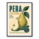 Italian Pear Vintage Fruit Poster Art Print