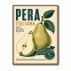 Italian Pear Vintage Fruit Poster Art Print