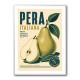 Italian Pear Vintage Fruit Poster Art Print