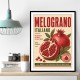 Pomegranate Italian Vintage Food Poster Wall Art