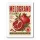 Pomegranate Italian Vintage Food Poster Wall Art
