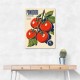 Ripe Red Tomatoes Vintage Italian Art Print
