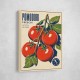 Ripe Red Tomatoes Vintage Italian Art Print