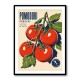 Ripe Red Tomatoes Vintage Italian Art Print