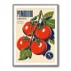 Ripe Red Tomatoes Vintage Italian Art Print