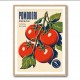 Ripe Red Tomatoes Vintage Italian Art Print