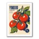 Ripe Red Tomatoes Vintage Italian Art Print