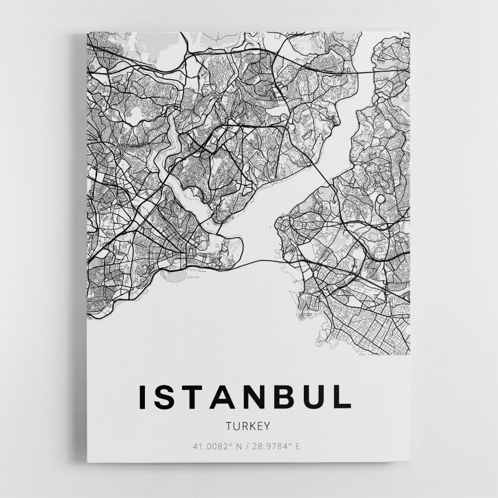 Istanbul City Map Wall Art