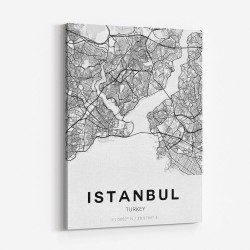 Istanbul City Map Wall Art