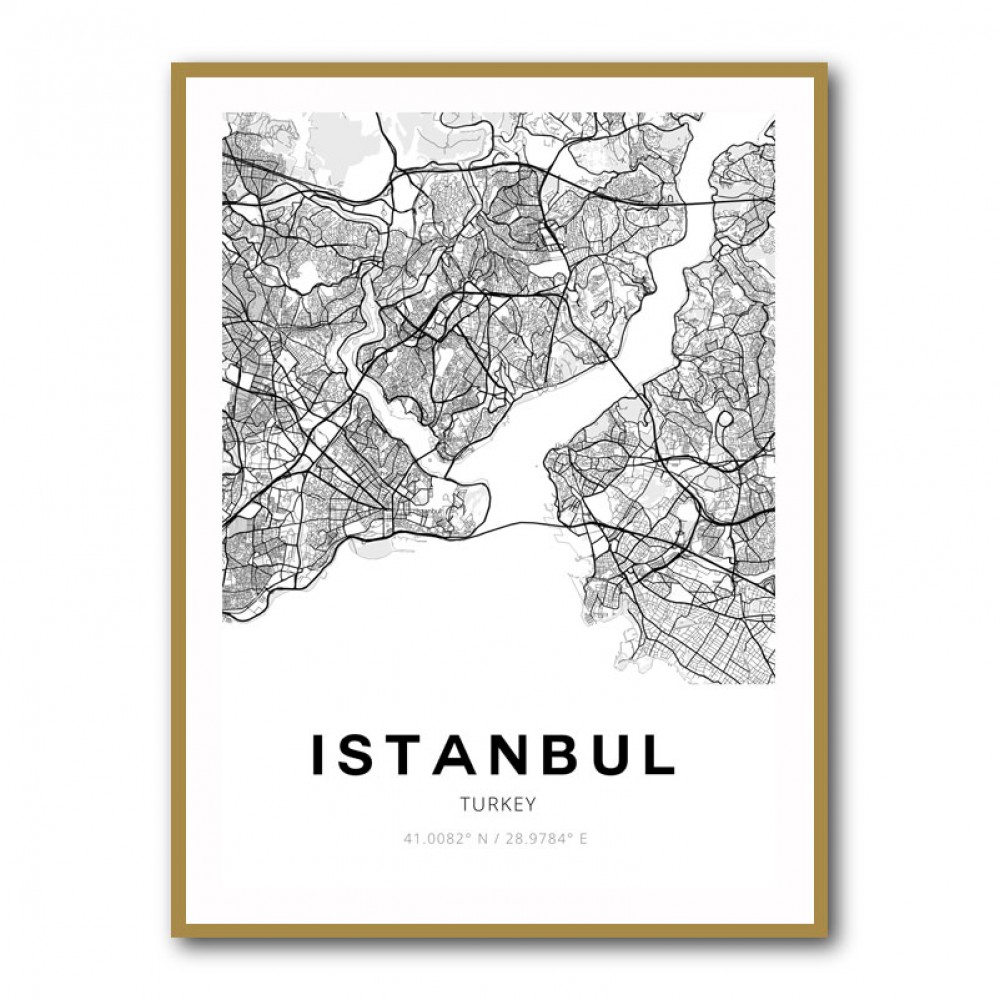 Istanbul City Map Wall Art