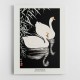 White Chinese Geese Swimming by Reeds White Chinese Geese Swimming by Reeds