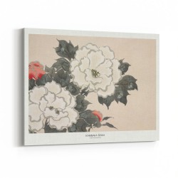 Flowers From Momoyogusa
