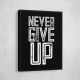 Never Give Up