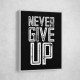 Never Give Up