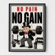 No Pain No Gain