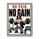 No Pain No Gain