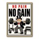 No Pain No Gain